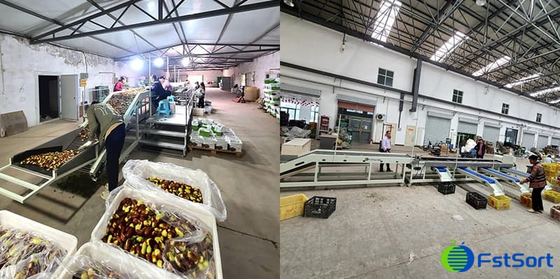 images/1696666145741date processing machine.jpg